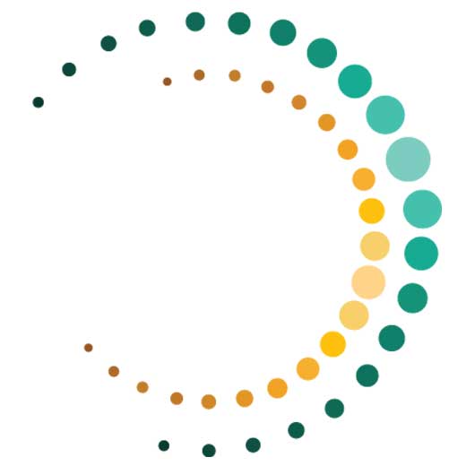 Center for Coaching Strategies